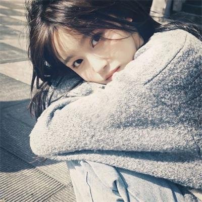 精灵宝可梦:比克提尼与白之英雄莱希拉姆