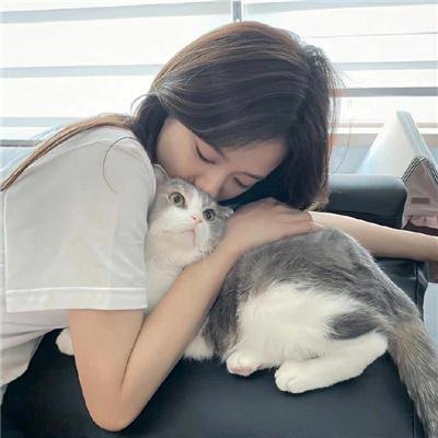 恨君不似江楼月